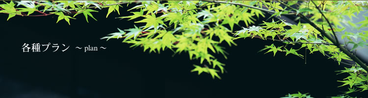 �������i�̃v����