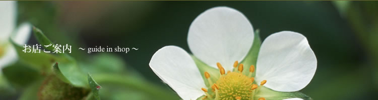 �������i���X���ē�