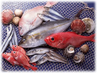 �N���C���[�W