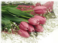 �����E���N�z�E���q�l�̂����X�����҂����Ă���܂�