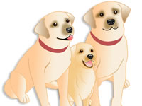 �ӓ����C���[�W